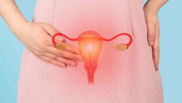 uterus